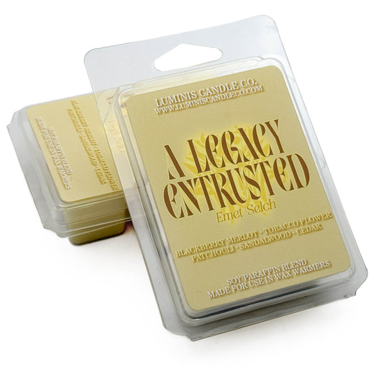 A Legacy Entrusted: Emet-Selch (Endwalker version) - FFXIV Inspired Wax Melts